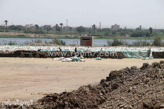 اليوم السابع -5 -2015